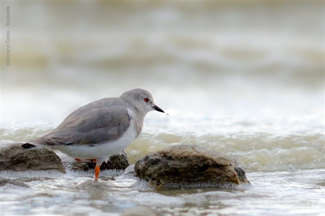 Image title Image description